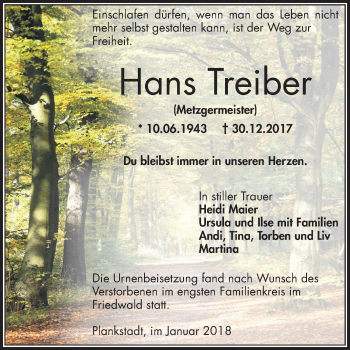 Traueranzeige von Hans Treiber von Mannheimer Morgen / Schwetzinger Zeitung