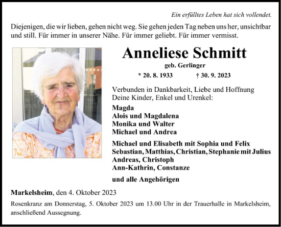Traueranzeige von Anneliese Schmitt von Fränkische Nachrichten