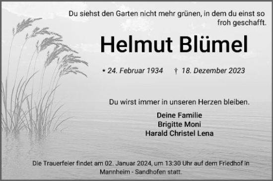 Traueranzeige von Helmut Blümel von Mannheimer Morgen