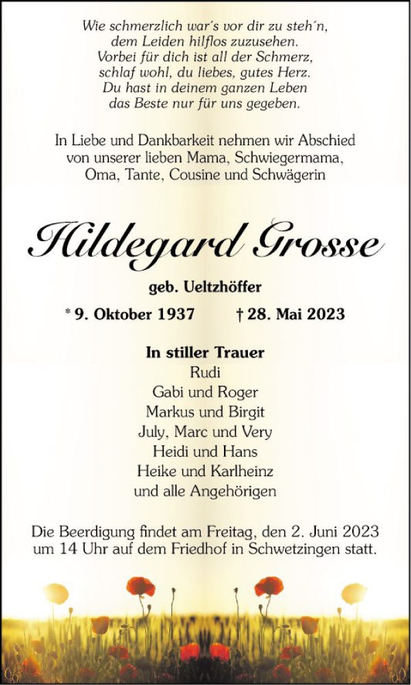  Traueranzeige für Hildegard Grosse vom 31.05.2023 aus Schwetzinger Zeitung