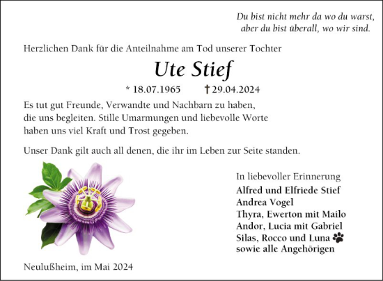 Traueranzeige von Ute Stief von Schwetzinger Zeitung