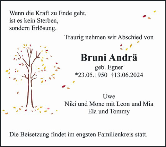 Traueranzeige von Bruni Andrä von Mannheimer Morgen