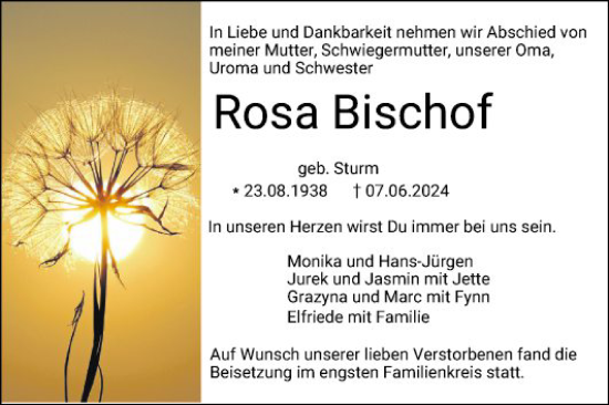 Traueranzeige von Rosa Bischof von Schwetzinger Zeitung