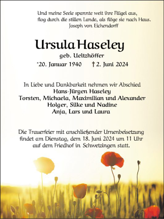 Traueranzeige von Ursulas Haseley von Schwetzinger Zeitung