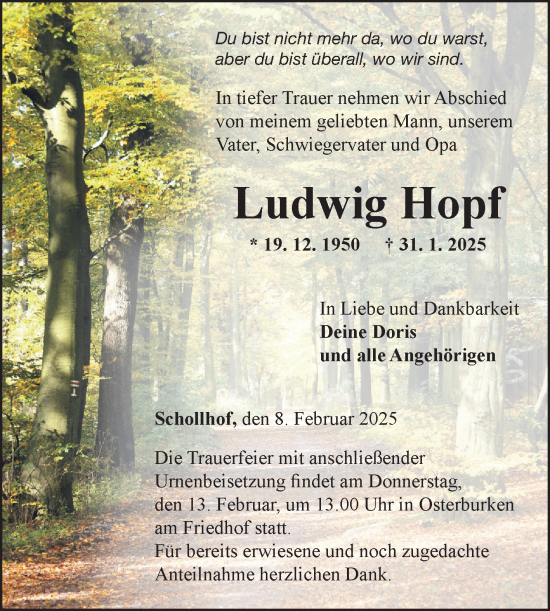 Traueranzeige von Ludwig Hopf von Fränkische Nachrichten