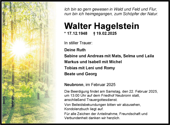 Traueranzeige von Walter Hagelstein von Fränkische Nachrichten