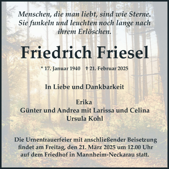 Traueranzeige von Friedrich Friesel von Mannheimer Morgen