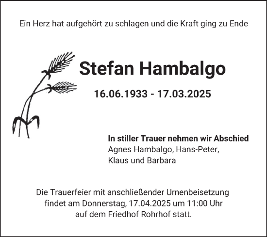 Traueranzeige von Stefan Hambalgo von Schwetzinger Zeitung